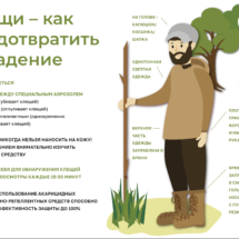 Как предотвратить нападение Как предотвратить нападение