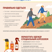 Нападение клещей Нападение клещей