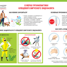 О мерах профилактики КВЭ О мерах профилактики КВЭ