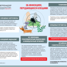 Об инфекциях, передающихся клещами Об инфекциях, передающихся клещами