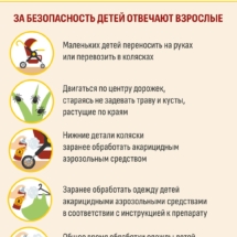 Острожно, клещи Острожно, клещи