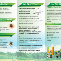 ПК клещи опасны ПК клещи опасны