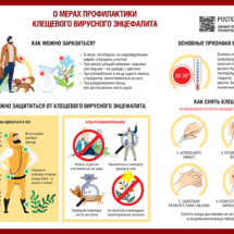 Профилактика КВЭ Профилактика КВЭ