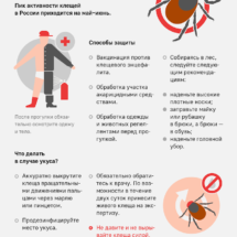 Сезон клещей Сезон клещей