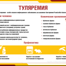 Туляремия Туляремия