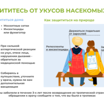 Укусы насекомых Укусы насекомых