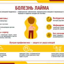 Болезнь Лайма Болезнь Лайма