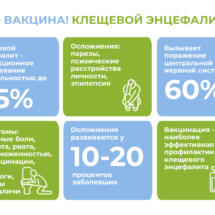 Вакцина КВЭ Вакцина КВЭ