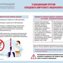 Вакцинация Вакцинация