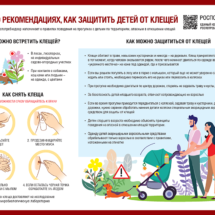 Дети и клещи Дети и клещи