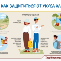 Как защититься от укуса клеща Как защититься от укуса клеща