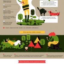 Как избежать укуса клеща Как избежать укуса клеща