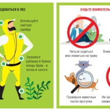 Как одеваться в лес Как одеваться в лес